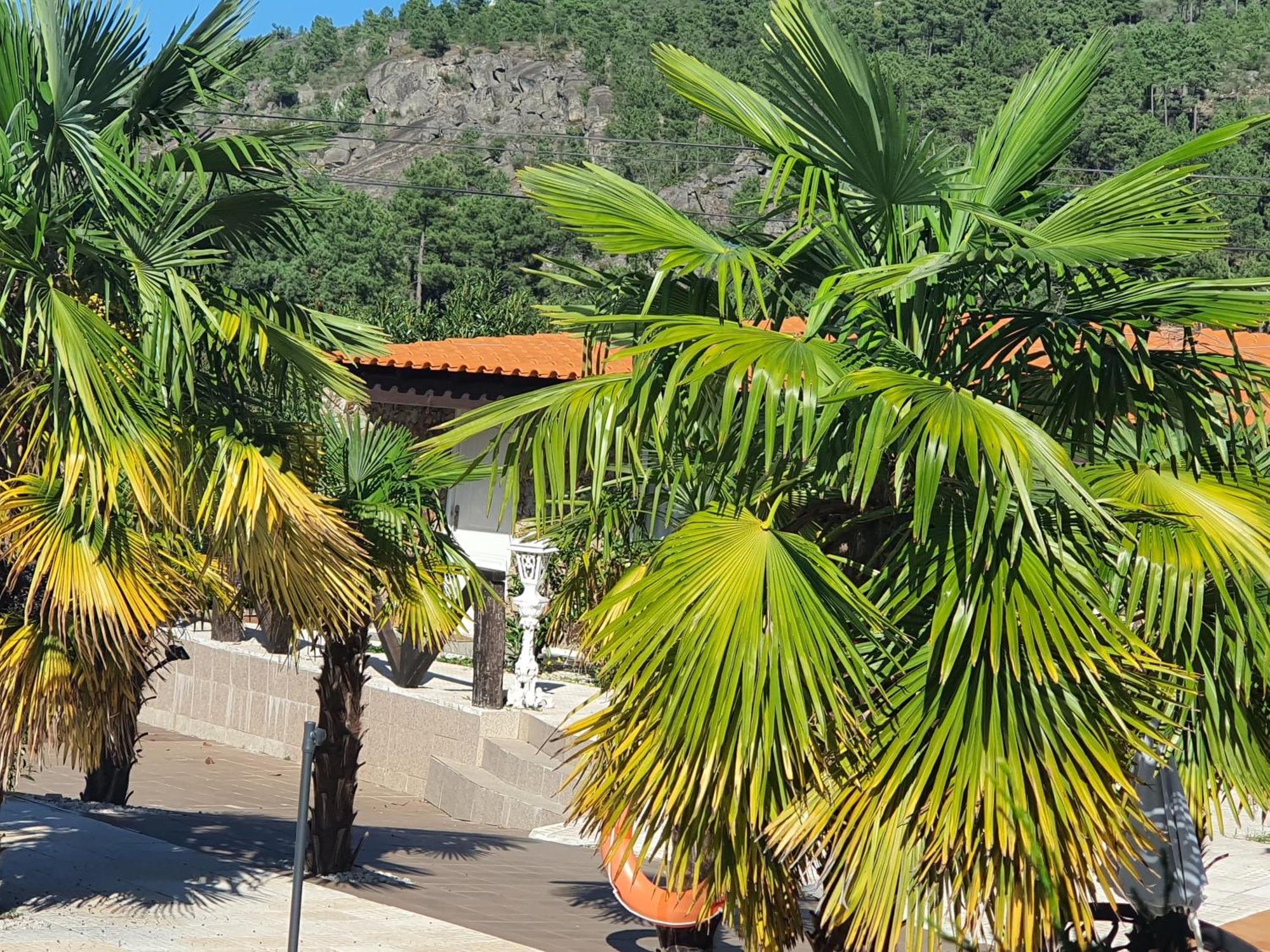 Villa Gojim Casa Rural à Armamar Extérieur photo